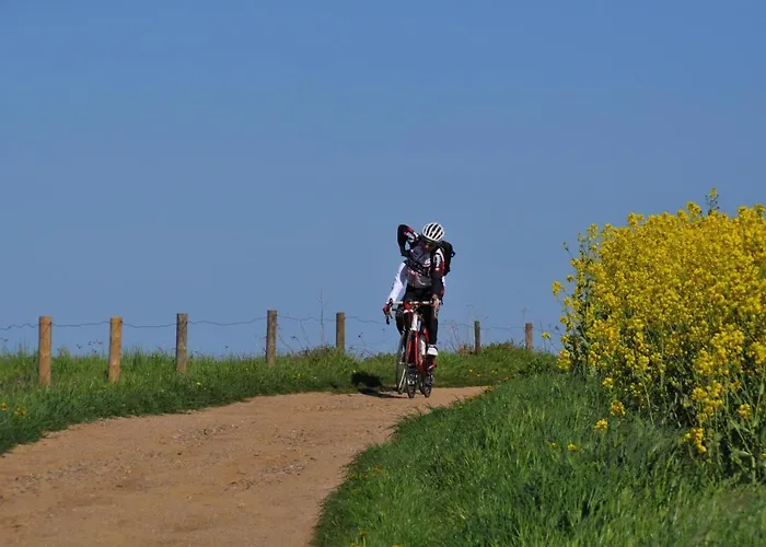 Ostseele - Tosi Διαμέρισμα